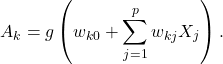 \[ A_k = g\left(w_{k0} + \sum_{j=1}^p w_{kj} X_j\right).\]