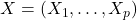 X = (X_1, \dots, X_p)