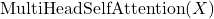 \mathrm{MultiHeadSelfAttention}(X)