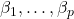 \beta_1, \dots, \beta_p