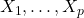 X_1, \dots, X_p