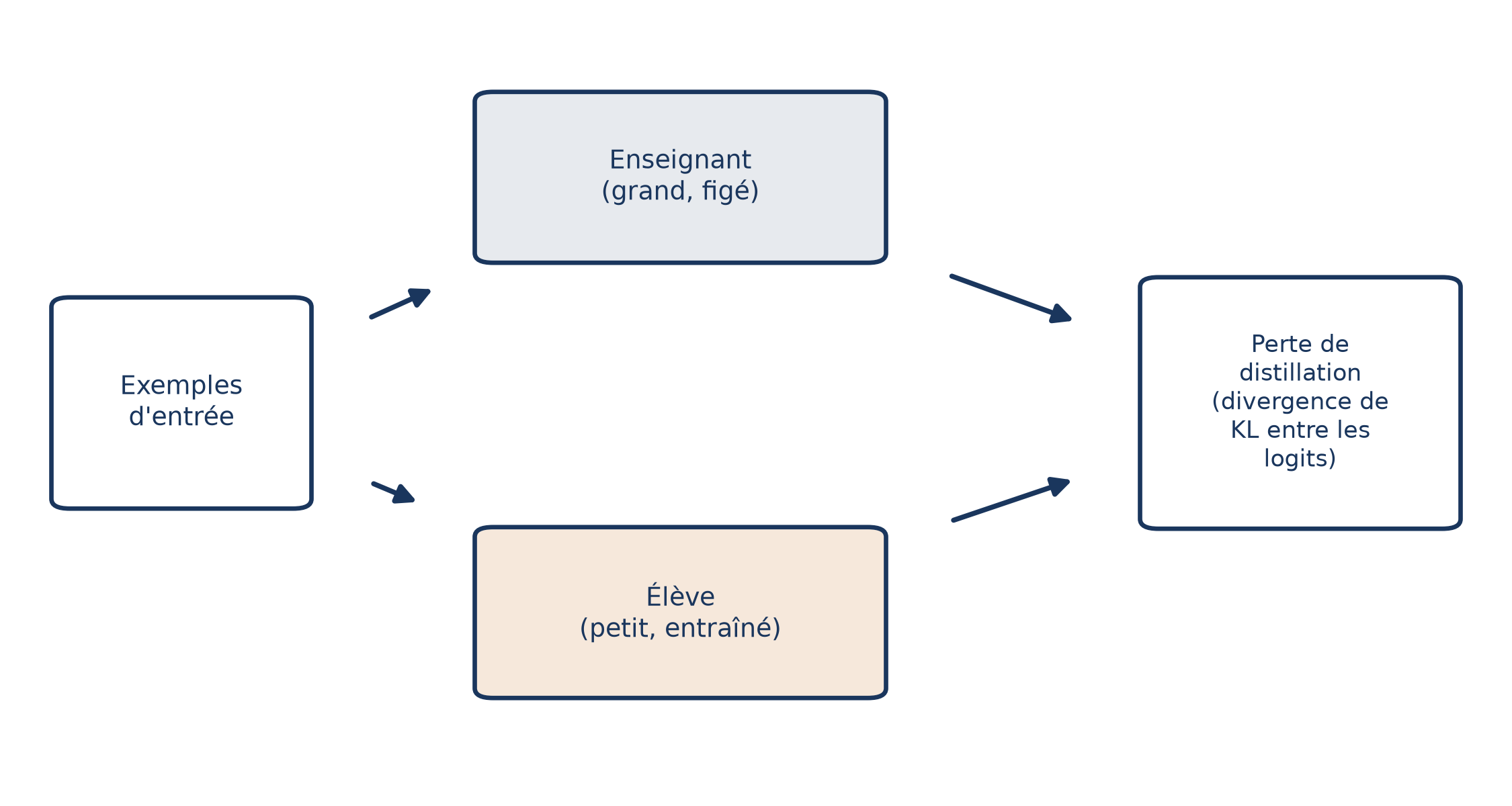 Schéma de distillation : mêmes exemples d'entrée pour un enseignant figé et un élève entraîné, dont les logits alimentent la perte