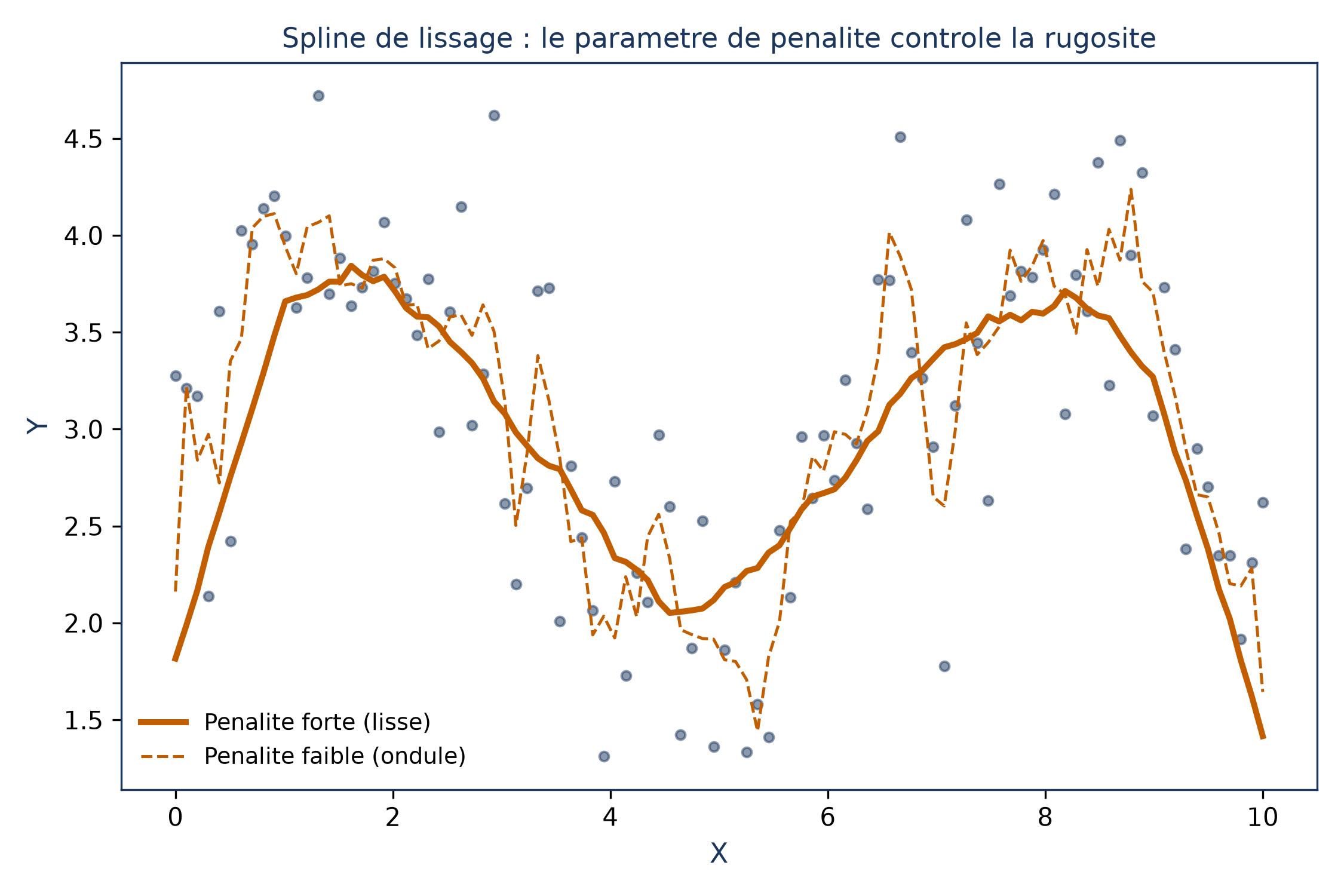 Nuage de points avec deux courbes de spline : l'une, lisse, correspond à une pénalité forte ; l'autre, ondulée et sensible aux fluctuations locales, correspond à une pénalité faible