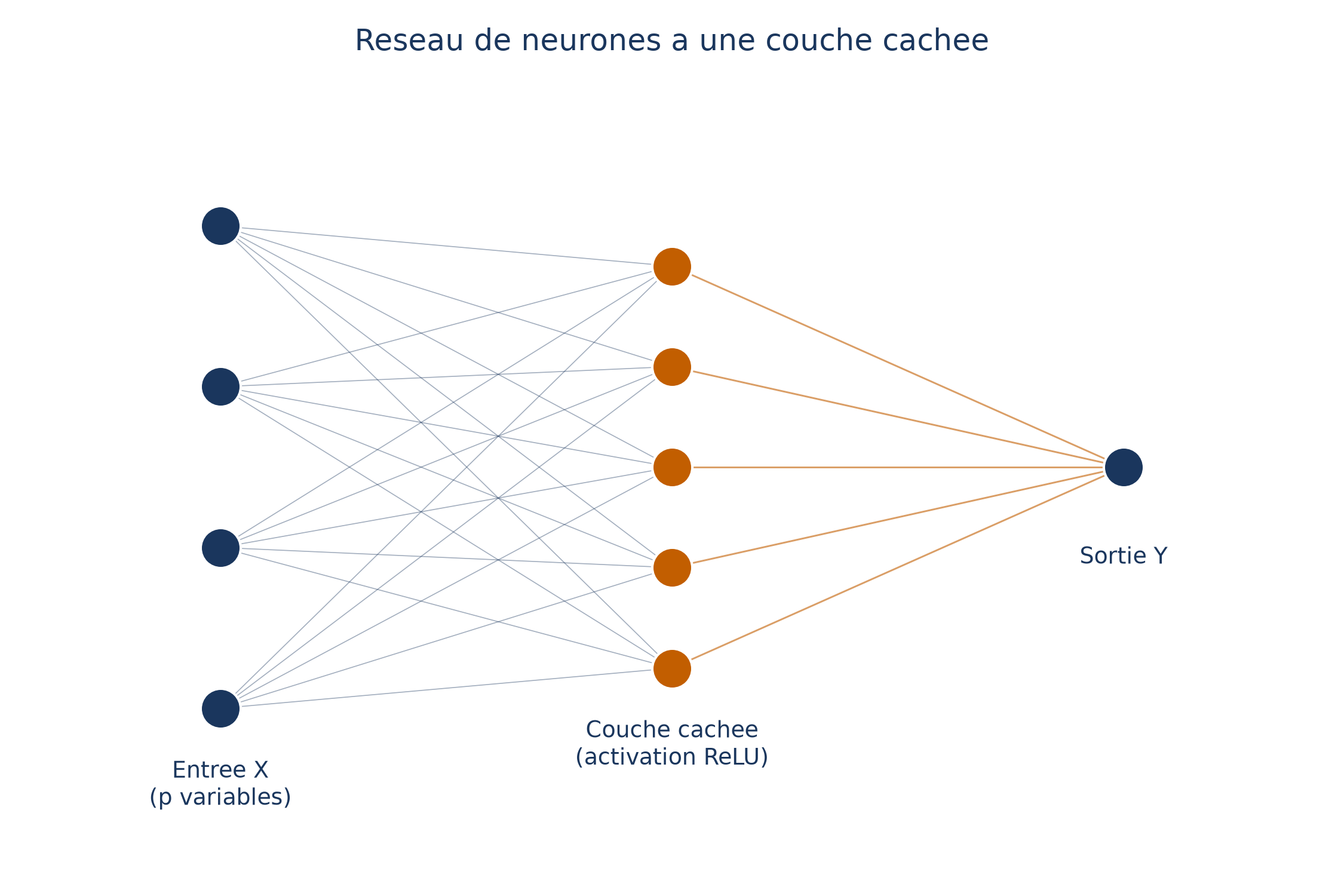 Un réseau à une seule couche cachée : une couche d'entrée de p variables reliée à cinq neurones cachés à activation ReLU, eux-mêmes reliés à un neurone de sortie Y