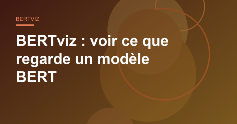 BERTviz : voir ce que regarde un modèle BERT